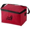 Spectrum 6-can cooler bag 4L