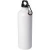 Oregon 750 ml RCS certified single wall stainless steel water bottle with carabiner