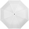 Alex 21.5" foldable auto open/close umbrella