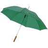 Lisa 23" auto open umbrella with wooden handle