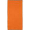 Pieter GRS ultra lightweight and quick dry towel 50x100 cm