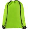 Evergreen non-woven drawstring bag 5L