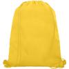 Oriole mesh drawstring bag 5L