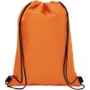 Oriole 12-can drawstring cooler bag 5L