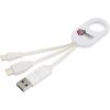 Troop 4-in-1 recycled plastic charging cable
