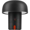 Kooduu Sensa Play JBL portable speaker and lamp
