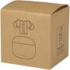 Alterf recycled plastic True Wireless Bluetooth® headset with silicone eartips