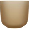 Male wooden serving tray and glass cups with matt finish set