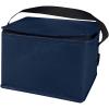 Spectrum 6-can recycled non-woven cooler bag 4L
