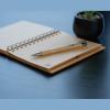 Paper ball pen
