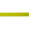 Renzo 30 cm plastic ruler
