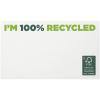 Sticky-Mate® recycled sticky notes 127 x 75 mm