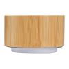 Bluetooth speaker with bamboo coating
