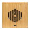 Bamboo speaker