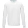 Jasper men’s organic recycled crewneck sweater
