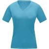 Kawartha short sleeve women's organic v-neck t-shirt