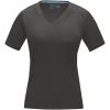 Kawartha short sleeve women's organic v-neck t-shirt