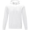 Charon men’s hoodie