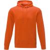Charon men’s hoodie