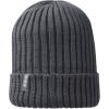 Ives organic beanie