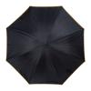 Umbrella with double cover