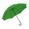 Automatic umbrella, plastic handle