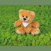 Teddy bear (medium)