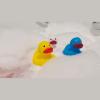 Squeeze duck