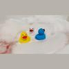 Squeeze duck