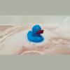 Squeeze duck