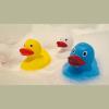 Squeeze duck