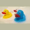 Squeeze duck