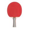 Table tennis set