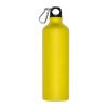 800 ml drinking bottle with snap hook