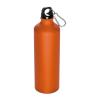 800 ml drinking bottle with snap hook