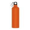 800 ml drinking bottle with snap hook
