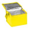 Non-woven cooling bag - 6 cans