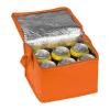 Non-woven cooling bag - 6 cans