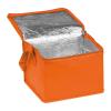 Non-woven cooling bag - 6 cans