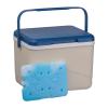 CrisMa cooler box with ice pack