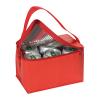 Mini polyester cooler bag for 6 cans