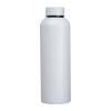 CrisMa stainless steel drinking bottle, 700ml