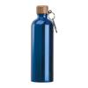 Stainless steel drinking bottle with carabiner, 75