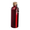 Stainless steel drinking bottle with carabiner, 75