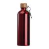 Stainless steel drinking bottle with carabiner, 75