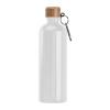 Stainless steel drinking bottle with carabiner, 75