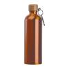 Stainless steel drinking bottle with carabiner, 75
