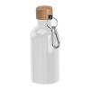 Stainless steel drinking bottle with carabiner, 40