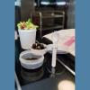 Muesli "to go" cup, 500 ml