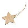 Bamboo star pendant